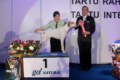 Международная выставка собак в Тарту (Эстония): 3 ноября, 2012
